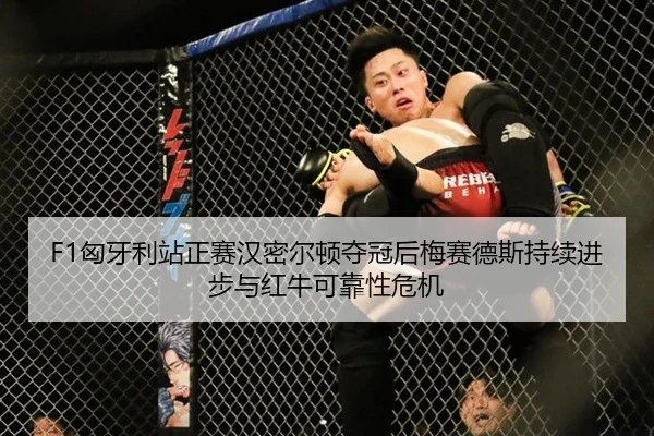 xiong-ya-li-zhan-zheng-sai-han-mi-er-dun-duo-guan-hou-mei-sai-de-si-chi-xu-jin-bu-yu-hong-niu-ke-kao-xing-wei-ji-3-477.jpg
